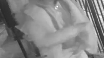 El sospechoso agredió a varias personas en Cristopher Street