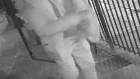 El sospechoso agredió a varias personas en Cristopher Street