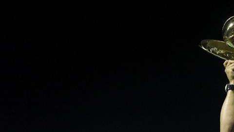 Las Águilas Cibaeñas vencieron a los Tigres de Licey. EFE