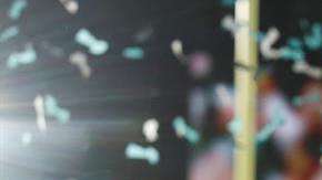 Nick Foles, el MVP del Super Bowl LII. EFE