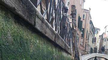 Así lucen las góndolas en Venecia. / EFE