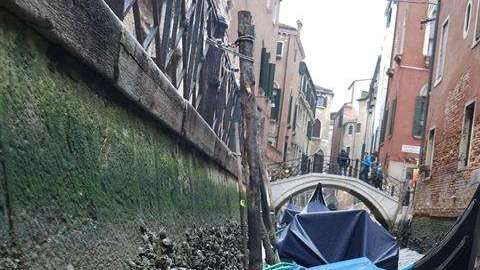 Así lucen las góndolas en Venecia. / EFE