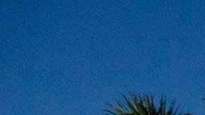 El alguacil suspendió a Peterson luego de ver un video que mostraba su actuación durante la masacre