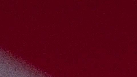 El presidente Trump destaca su labor a favor de los hispanos.