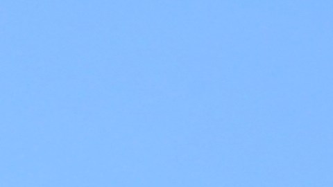 El homicidio sucedió en Astoria