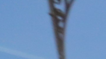 Usuarios y comerciantes se quejan del cierre de las estaciones en Astoria. En la foto, el artista Gabrielle Perici.