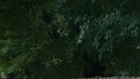 Nosotros mismos estropeamos nuestro auto.