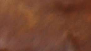 El pan recorre todo el mundo.