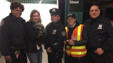 El perro se escapó y anduvo por las vias del metro F en Brooklyn