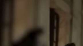 La estructura de un hotel en Philadelphia no soportó el pero de los fanáticos