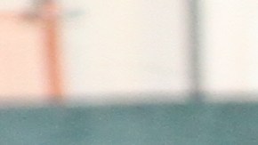 Repartidores de comida.