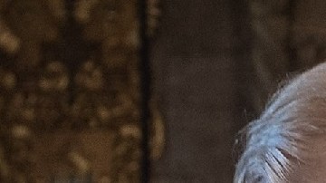 El presidente pidió al DOJ regular los "bomb stock".