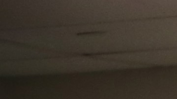 El 54% de las despensas y comedores públicos se quedan sin comida que donar./Archivo