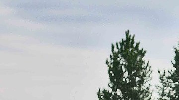 Los autos usados son siempre una buena opción.