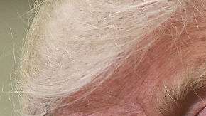 Trump despidió a todos los embajadores nombrados por Obama