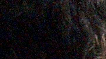 El proyecto de ley tiene el respaldo del presidente Trump