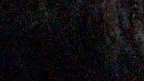 Más de 1.5 millones de inmigrantes de la India esperan su "Green Card"