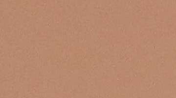 Trump pidió que le lean los informes diarios de inteligencia