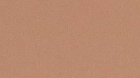 Trump pidió que le lean los informes diarios de inteligencia