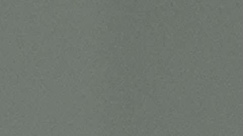 Trump nombra jefe de campaña para buscar la reelección en 2020