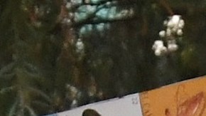 Los "Dreamers" pueden seguir aplicando por la protección que ofrece DACA.