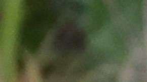 La pareja invitó al ex presidente Barack Obama y a su esposa Michelle