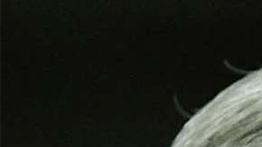 Investigan los contactos del yerno de Trump con empresarios chinos