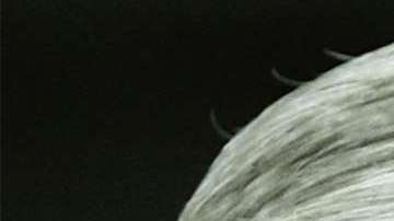 Investigan los contactos del yerno de Trump con empresarios chinos