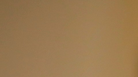 David Shulkin es secretario de Asuntos de Veteranos.