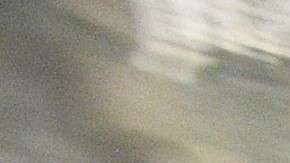 170 científicos políticos ranquearon el gobierno de Trump en el puesto 44