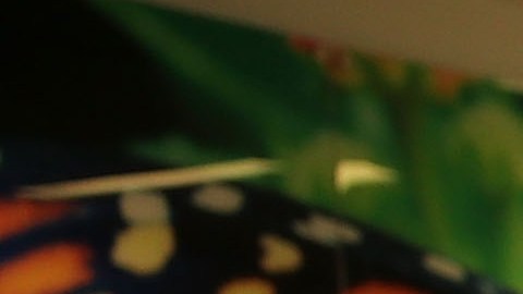 Se han alzado voces a favor y en contra de las armas en los recintos escolares