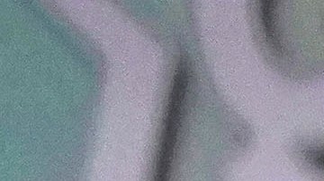 Wayne LaPierre afirma que se quiere desaparecer la Segunda Enmienda.