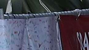 El arresto se produjo en el condado de Broward en la Florida