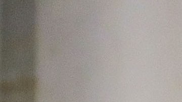 Hicks era una de las funcionarias de alto nivel más jóvenes de la Casa Blanca.