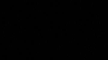 Woody tiene apellido.