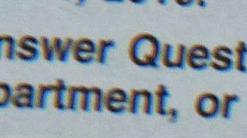 19 Fiscales se oponen a que el censo de 2020 pregunte sobre la ciudadanía de las personas