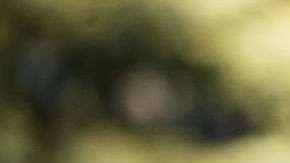 Harvey Weinstein habría abusado de muchas mujeres.