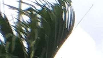 Estudiantes de Hialeah (Florida) se sumaron a las protestas contra las armas. Foto: proporcionada