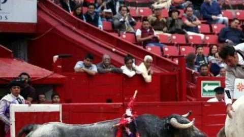 El rejoneador español Andy Cartagena y el toro indultado 'Copo de Nieve'.