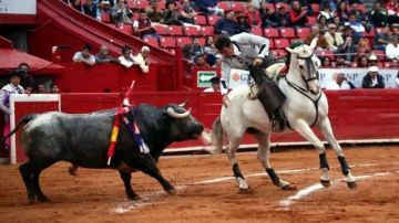 El rejoneador español Andy Cartagena y el toro indultado 'Copo de Nieve'.