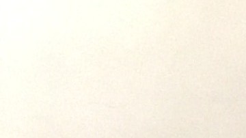 Inspectores de la ciudad en uno de los edificios afectados. Alcalde anunciara la lista de caseros que cuentan con serias vilaciones del codigo de seguridad y salud.