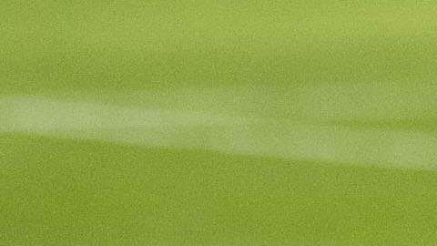 Javier "Chicharito" Hernández recibió propuestas de varios equipos