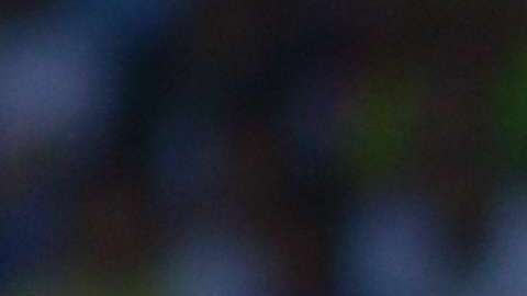 América recibe a Lobos BUAP, en duelo de la jornada 5 del Clausura 2018