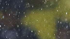 América recibe a Morelia en duelo de la jornada 7 del fútbol mexicano