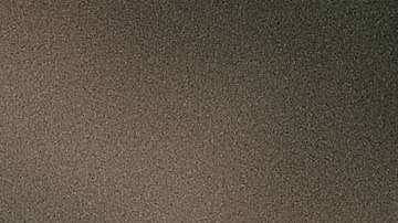 Javier "Chicharito" Hernández seguirá con el West Ham