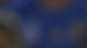 El campeón Tigres recibe a las Águilas del América en el "Volcán", en duelo de la fecha 6