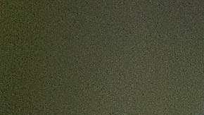 Matías Almeyda, técnico de las Chivas del Guadalajara