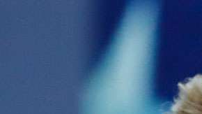 Kushner obtuvo préstamos millonarios tras recibir a ejecutivos en Casa Blanca