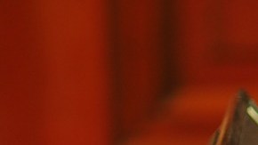 De tres ejecuciones programadas este jueves en Estados Unidos, sólo una se concretó