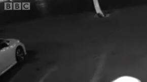 Sin duda, una pareja de ladrones nada hábiles.